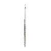 Flute Trevor James Virtuoso 31vv-hrx