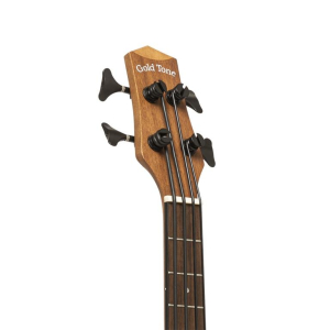 Gold Tone M-bass25