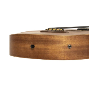 Gold Tone M-bass25