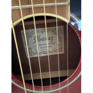 Guitare Ibanez avec support