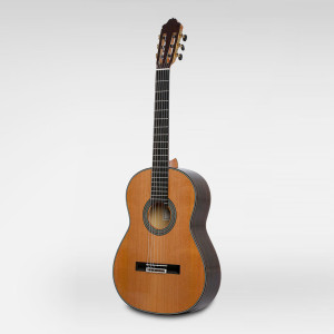 Esteve 65th Anniversary Guitar