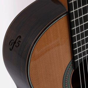 Esteve 65th Anniversary Guitar