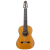 Guitare Esteve 7cuerdas Table Cedre