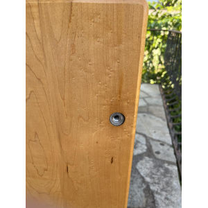 Carvin Lapsteel double manche