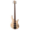 Basse Cort A4 Ultra Frene Micros Fishman