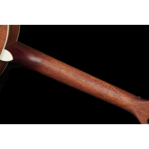 Guitarra Cort AP550M Parlor Caoba