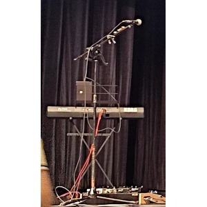 El Korg pa700 es un teclado de arranger profesional que ofrece un rendimiento excepcional y una amplia variedad de funciones cre