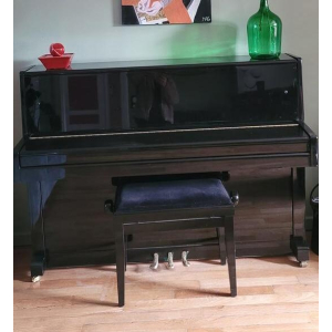 Steiner piano derecho