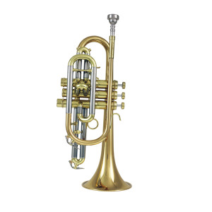 Carolbrass B-Flat Cornet Alb7l