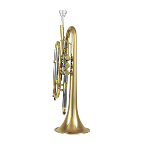 Cornet Si Bemol Carolbrass Alb7l