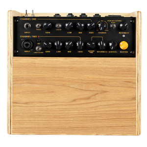 Ortega 100W amp, 2 channels, rev/chorus