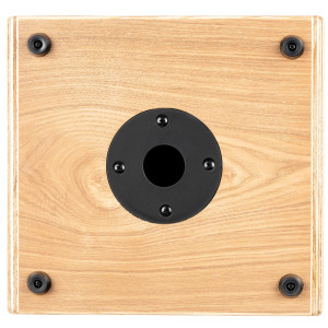 Ampli Ortega 100 W, 2 canales, rev/chorus