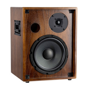 Ampli Ortega 100w, 2 Canaux, Rev/chorus