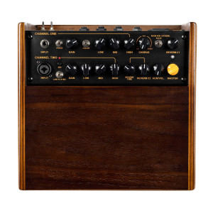 Ortega 100W Amp, 2 Channels, Reverb/Chorus