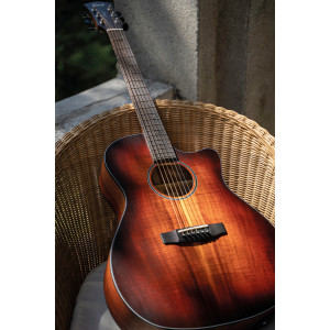 Cort Core-ga Blackwood L. Burst Guitar