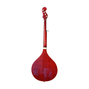 Gold Tone Banjola+