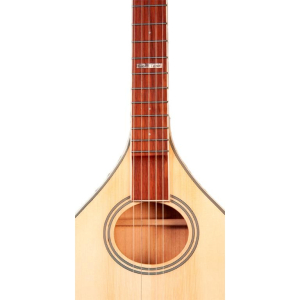 Gold Tone Banjola+