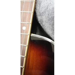 Gold Tone Ls-6