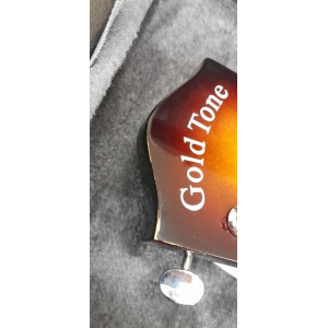 Gold Tone Ls-6