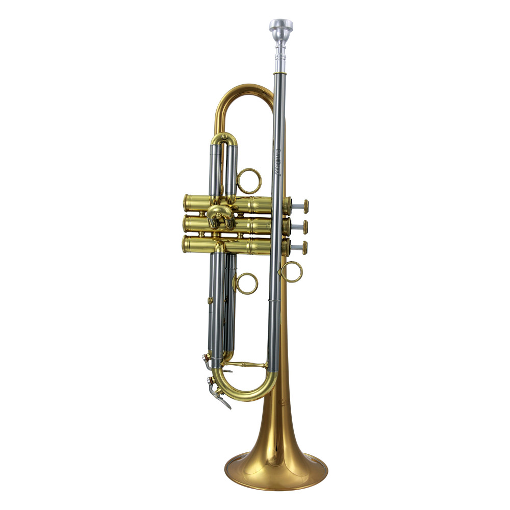 B-Flat Trumpet Carolbrass Hw9l