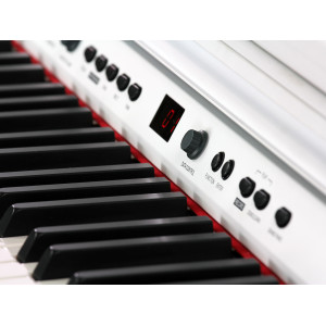 Digital Piano Adagio DP150WH