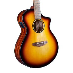 Breedlove Discovery S Concert Basse Ce