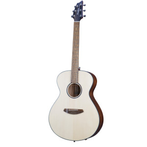 Breedlove Discovery S Concert