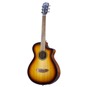 Breedlove Discovery S Concertina Edge Ce