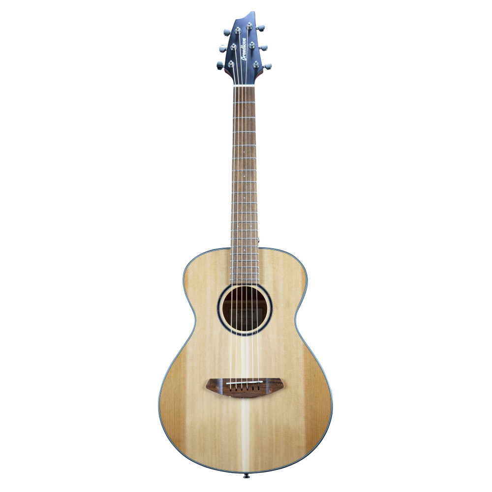 Breedlove Discovery S Companion