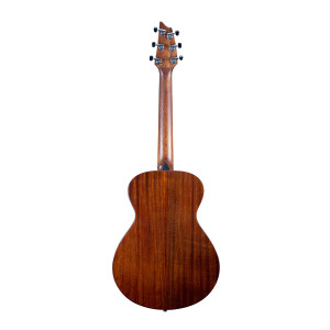 Breedlove Discovery S Companion