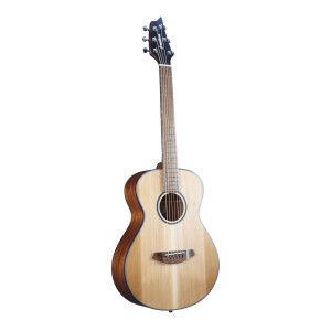 Breedlove Discovery S Companion