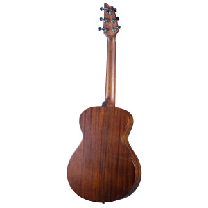 Breedlove Discovery S Companion