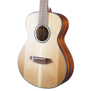 Breedlove Discovery S Companion