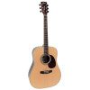 Guitare Cort Earth100rw F/e Palissandre