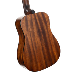 Cort Earth Go Hyvibe Guitar, Case