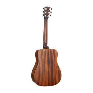 Cort Earth Go Hyvibe Guitar, Case