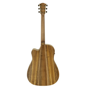 Cole Clark FL2EC Guitar, Case