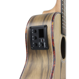 Ukulele Concert Alabama Dao Electro