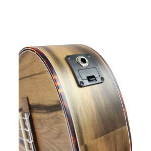 Ukulele Concert Alabama Dao Electro