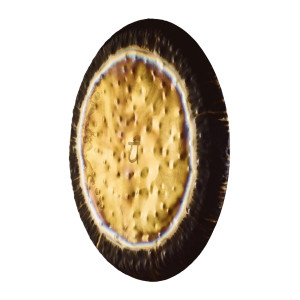 Heart Chakra Gong, 36" / 90 Cm, 136,10 H