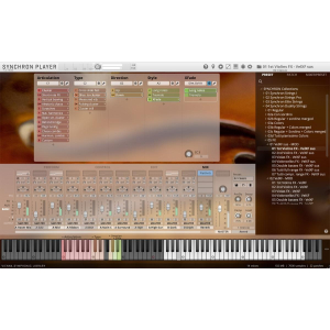 VSL Synchron Duality Strings (fx) Biblioteca completa