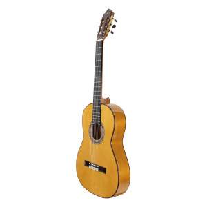 Esteve Gipsykings Spruce Guitar