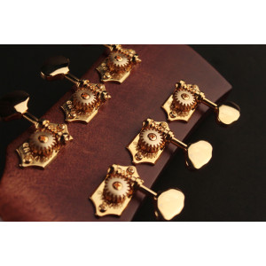 Guitare Cort Gold Oc6 Naturel Brillant