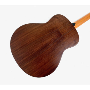 Taylor GT Urban Ash 2021 Natural