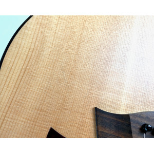 Taylor GT Urban Ash 2021 Natural