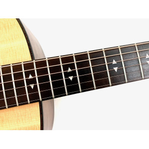 Taylor GT Urban Ash 2021 Natural