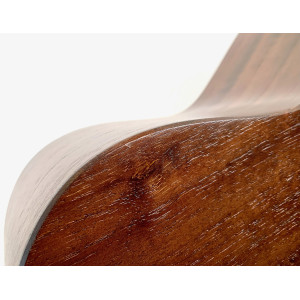 Taylor GT Urban Ash 2021 Natural