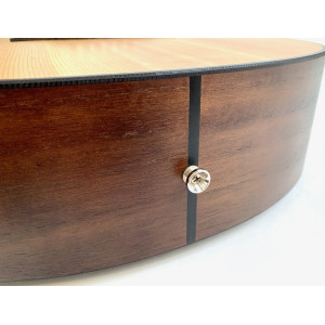 Taylor GT Urban Ash 2021 Natural