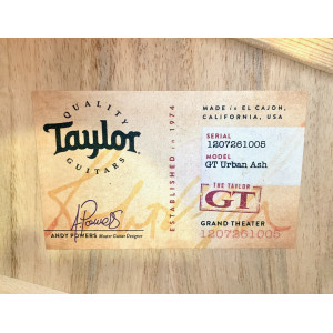 Taylor GT Urban Ash 2021 Natural