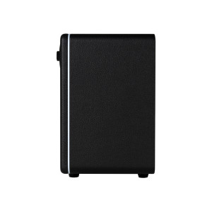 Ampli Mooer Hornet 15i Noir